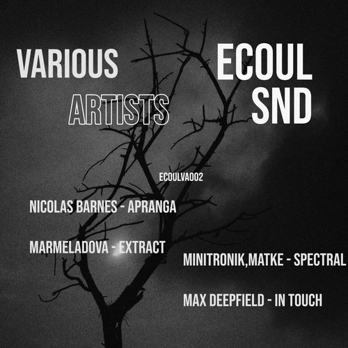 VA - Ecoul Snd V.a  2 [ECOULVA002]